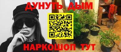 PSILOCYBIN Старая Купавна