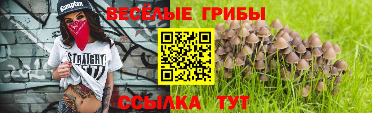 Псилоцибиновые грибы мухоморы Старый Оскол
