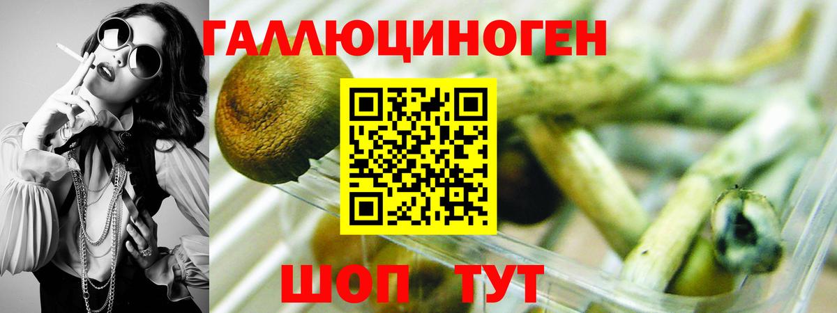 Старый Оскол  Псилоцибиновые грибы мухоморы  Вход с VPN  Псилоцибиновые грибы GOLDEN TEACHER 